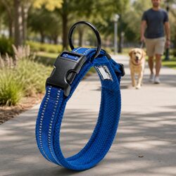 Durable Dog Collar with Reflective Features and Locking Buckle