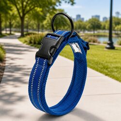 Durable Dog Collar with Reflective Safety Buckle, Blue 2XL