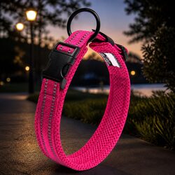 Durable Reflective Dog Collar with Safety Lock Buckle