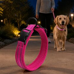 Durable Reflective Dog Collar with Secure Clip Buckle