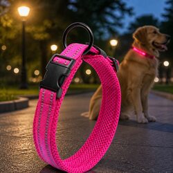 Durable Reflective Dog Collar with Safety Lock Clip Buckle