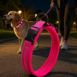Durable Pink Reflective Dog Collar with Lock Clip 2XL