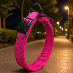 Durable Reflective Dog Collar with Safety Lock Buckle