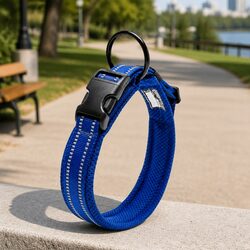 Durable Reflective Dog Collar with Safety Lock Clip Buckle