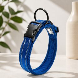 Durable XL Blue Reflective Dog Collar with O Ring