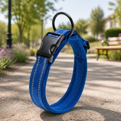 Durable Blue Reflective Dog Collar with Safety Lock Clip 2XL