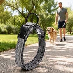 Durable Heavy Duty Dog Collar with Reflective Features XL