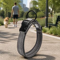 Durable Reflective Dog Collar 2XL with Safety Lock Clip