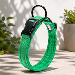 Durable Green Reflective Dog Collar with Safety Lock Clip 2XS