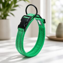 Sturdy Reflective Dog Collar with Secure Lock Clip