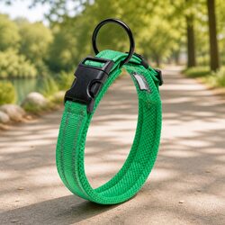 Durable Reflective Dog Collar with Safety Lock Clip M Size