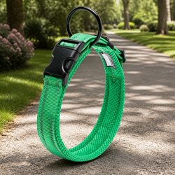 Durable XL Dog Collar with Reflective Safety Elements