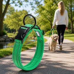 Sturdy Reflective Dog Collar with Lock Clip and O Ring