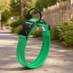 Durable Green 3XL Reflective Dog Collar with Safety Lock