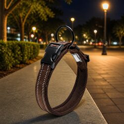 Sturdy Reflective Dog Collar with Safety Lock Clip
