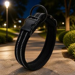 Durable Dog Collar with Reflective Safety Lock Clip