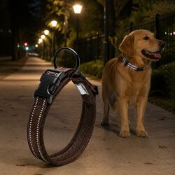 Durable Reflective Dog Collar with Safety Lock Mechanism