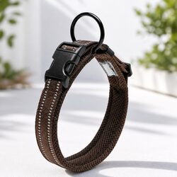 Durable Reflective Dog Collar with Secure Locking Buckle