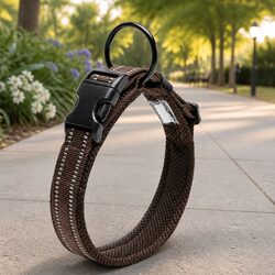 Sturdy Reflective Dog Collar with Safety Lock Clip Buckle