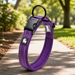 Durable Reflective Dog Collar with Safety Clip in Purple