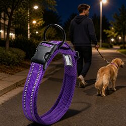 Durable Reflective Dog Collar with Safety Lock Clip