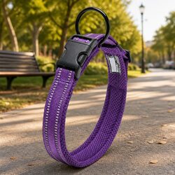 Durable Reflective Dog Collar with Safety Clip Buckle