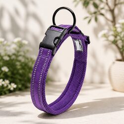 Durable XL Purple Dog Collar with Safety Lock Clip