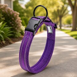 Durable Heavy Duty Purple Dog Collar 3XL Reflective Safety