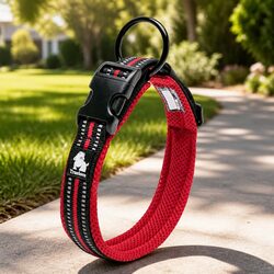 Durable Reflective Dog Collar with Secure Clip XS Red
