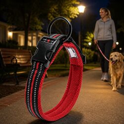 Durable Reflective Dog Collar with Safety Lock Clip