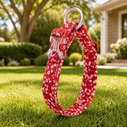 Stylish XS Red Floral Dog Collar with Padded Comfort