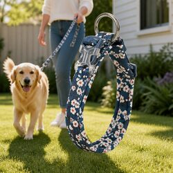 Blue Padded Floral Dog Collar XS for Small Pets