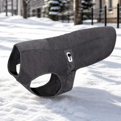 Exceptional Charcoal XS Dog Winter Coat with Antibacterial Features