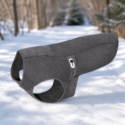 Charcoal Antibacterial Dog Winter Coat, M Size
