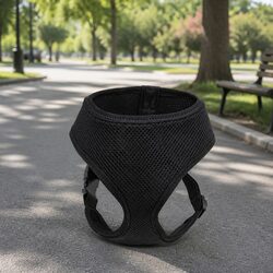Dog Harness with Steel D Ring Black XS Lightweight Breathable Mesh Adjustable
