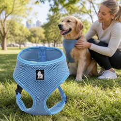 Durable Blue Dog Harness with Steel D Ring and Mesh Design