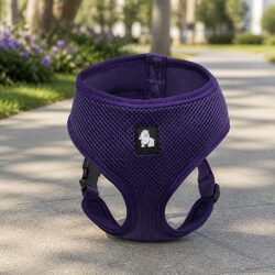 Purple XS Dog Harness - Breathable Mesh, Adjustable
