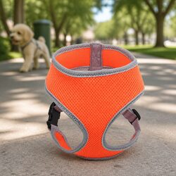 Durable Steel D Ring Dog Harness with Adjustable Belt