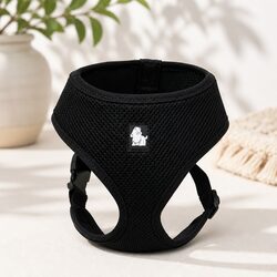 XL Black Dog Harness with Steel D Ring and Adjustable Belt