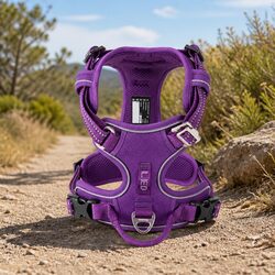 Reflective Purple No Pull Dog Harness XS for Adventurers