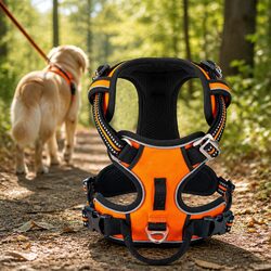 No Pull Dog Harness Orange Small Reflective Breathable Mesh Duraflex Buckles