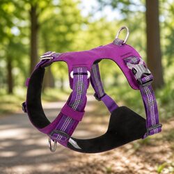 Premium Purple Large No Pull Dog Harness for Secure Walking
