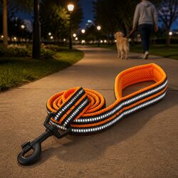 Durable Orange Reflective Nylon Dog Lead 2m XS