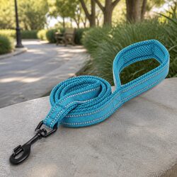 Reflective Dog Leash 2m Lead Nylon Pet Walking Safety Visibility Night XS Blue