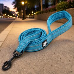Durable Blue Nylon Reflective Dog Leash 2m M Size