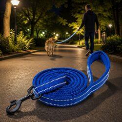 Nylon Reflective Dog Leash 2m with Ergonomic Design