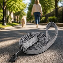 Durable Grey Reflective Dog Leash 2m with Swivel Hook