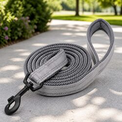 Durable Reflective Nylon Dog Leash 2m with Swivel Hook