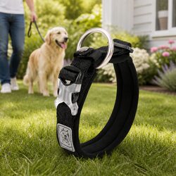 XL Active Dog Collar with Reflective Lead Attachment