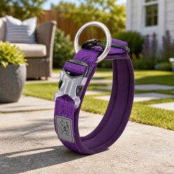 Purple 2XS Reflective Dog Collar for Active Puppies